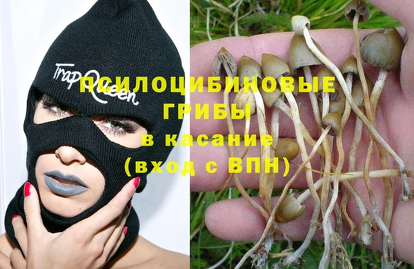 стафф Семёнов